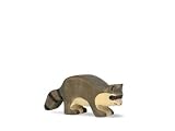 Raccoon