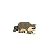 Raccoon