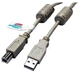 Buy 20 Feet A B Hi-Speed with Ferrite Cores USB 2.0 Cable  by CablesOnline