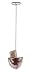 Outdoor Living : Pecan Picker Upper