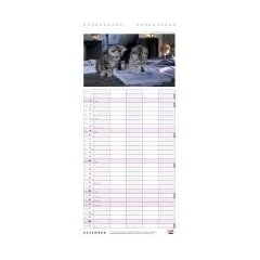 Whiskas Familienplaner f�r Katzenfreunde 2012: Mit Schulferien, 5 Spalten
