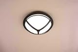 Berkshire Environmental 15 1/2 Wide Outdoor Ceiling Light