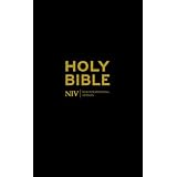 NIV Traveller's Bible: New International Version (Bonded Leather)by New International Version
