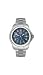 Mens Swiss Army 24772