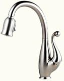 Brizo Floriano Brilliance Stainless Single Handle Kitchen Pull Down Faucet