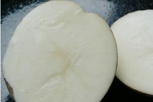 ひでさんのじゃがいも 男爵・7kg