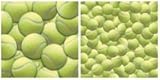 Scrappin Sports and More - Name of the Game Collection - 12 x 12 Double Sided Paper - Tennis Balls