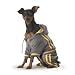 Go For It Fleece Jogging Suit in Gray and Yellow for Dogs by DC