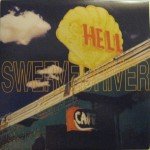 The Hitcher (7" vinyl)