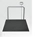 Rice Lake SD-1000 Summit Dialysis Scale, 1000lb x 0.2 lb