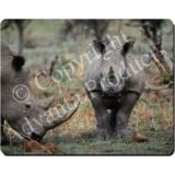 RHINO'S Mouse Mat / Pad