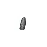 シュワルべ（SCHWALBE） タイヤ　ビッグアップル　29×2.35 (60-622)