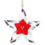 Swarovski Crystal Poinsettia Ornament Lg