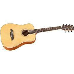 Alvarez RT16 Regent Series (Natural Travel-Size)