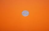 Hewlett Packard NC4400 Laptop - Orange