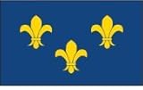 French Fleur De Lis Flag 6 x 10 Nylon Flag