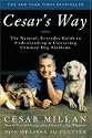 Cesar's Way - Natural, Everday Guide To Understanding & Correcting Common Dog Problems