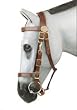 Down Under Halter Bridle
