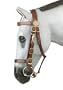 Down Under Halter Bridle, Black