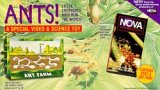 Nova: Ants [VHS]