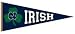 Notre Dame Fighting Irish 
