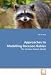 Approaches to Modelling Raccoon Rabies