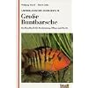 Amerikanische Cichliden, 2 Bde., Bd.2, Gro�e Buntbarsche: Ein Handbuch f�r Bestimmung, Pflege und Zucht