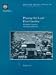 Book Phasing Out Lead from Gasoline: Worldwide Experiences and Policy Implications (World Bank Technical Paper)