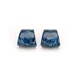 PONO Element Earrings in Navy