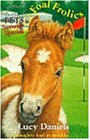 Foal Frolics (Animal Ark Pets)
