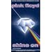 Shine on Interviews [VHS]