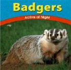 Badgers: Active at Night (Wild World of Animals)