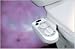 Natural Warm and Cool Water Bidet/ Every Home Should Have One!