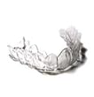 Dental Professional Custom Bleaching Trays. The Best Whitening Kit and Used By 95% of Cosmetic