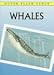 Whales: Flash Cards