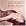 Lesley Garrett - Prima Donna