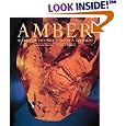 Amber by  David A. Grimaldi