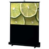 Draper Traveller - Projection screen - 80 in ( 203 cm ) - 4:3 - Fiberglass Matt White