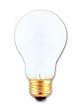 Incandescent Light Bulb, Long Life A-19, 5000 Hours, 60 Watt, Frosted