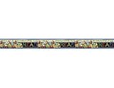 SW READ BORDER TRIM 3