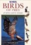 Sasol Birds of Prey of Africa and Its Islands