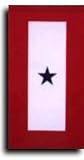 Service Banner - 8x15 in. Nyl-Glo nylon Service Flag
