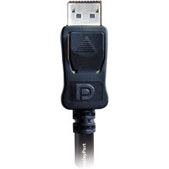 Accell B088C-007B-2 UltraAV DisplayPort Cable (6.6 Feet/2 Meters)