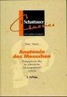 Produkt-Bild: Anatomie des Menschen