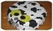 Mooba the Cow - RoomBud iRobot Roomba costume - myRoombud