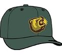 Minor League Baseball Cap - Fresno Grizzlies Batting Practice Cap by New Era