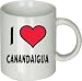 Canandaigua Mug