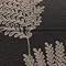 Fern Chenille, Graphite