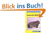 Deutsche Widder