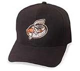 East Coast Hockey League Jacksonville Lizard Kings Cap